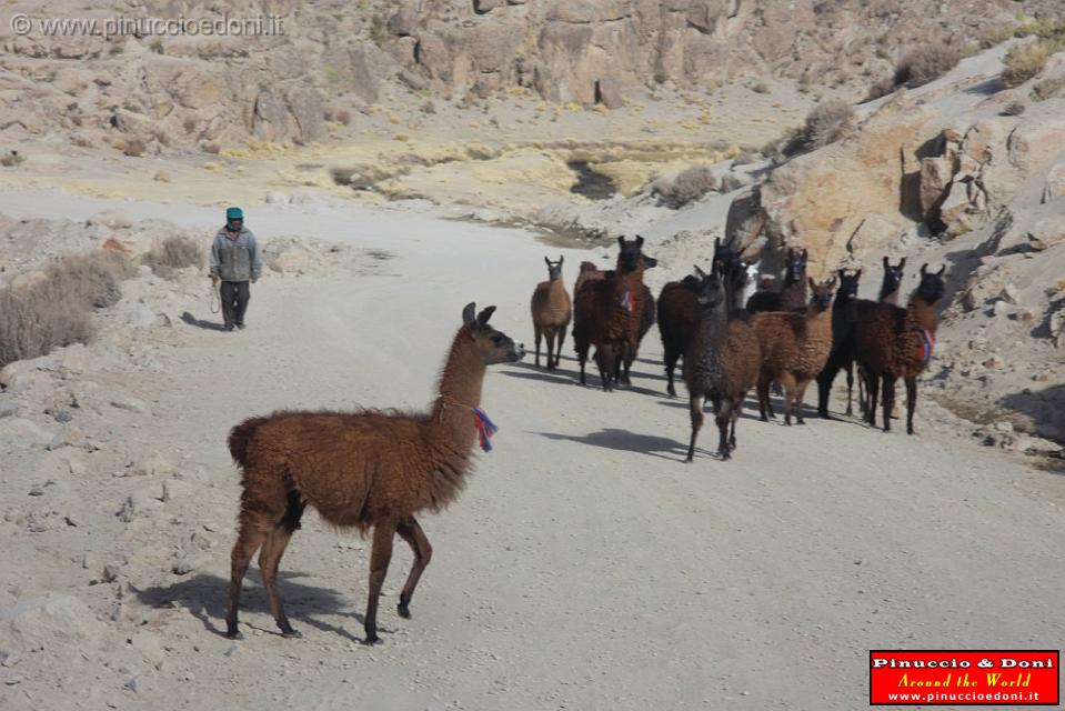 BOLIVIA 2 - Cordillera de Los Frailes - 43.jpg